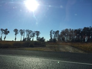 The Road leaving Napa