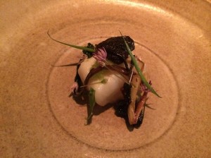 Pacific Halibut, Morel Mushroom and Alliums